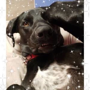 Meet your Posher, Karla